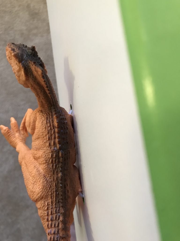 dinosaur drawer pull transformation